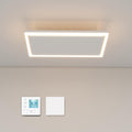 byecold Elektroheizkörper, Weiß, Infrarotheizung Deckenmontage 790 Watt, Infrarot Deckenheizung mit LED Licht Beleuchtung